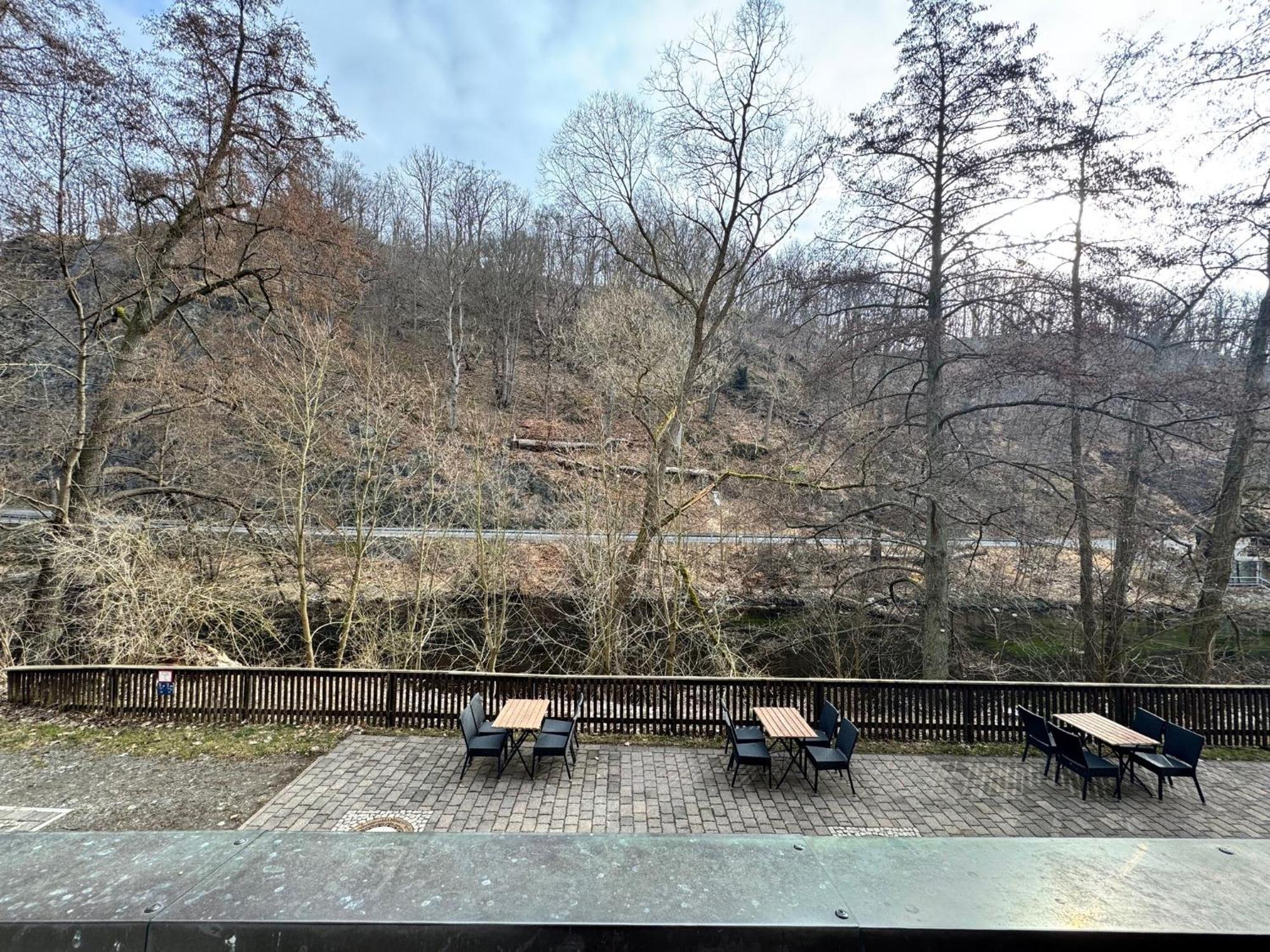 Hotel Bodeblick Thale Exteriör bild